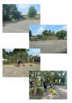 ネット公園さわやか清掃を実施しました
