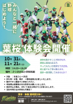 葉桜体験会開催決定！（10/31（土）、11/21（土））